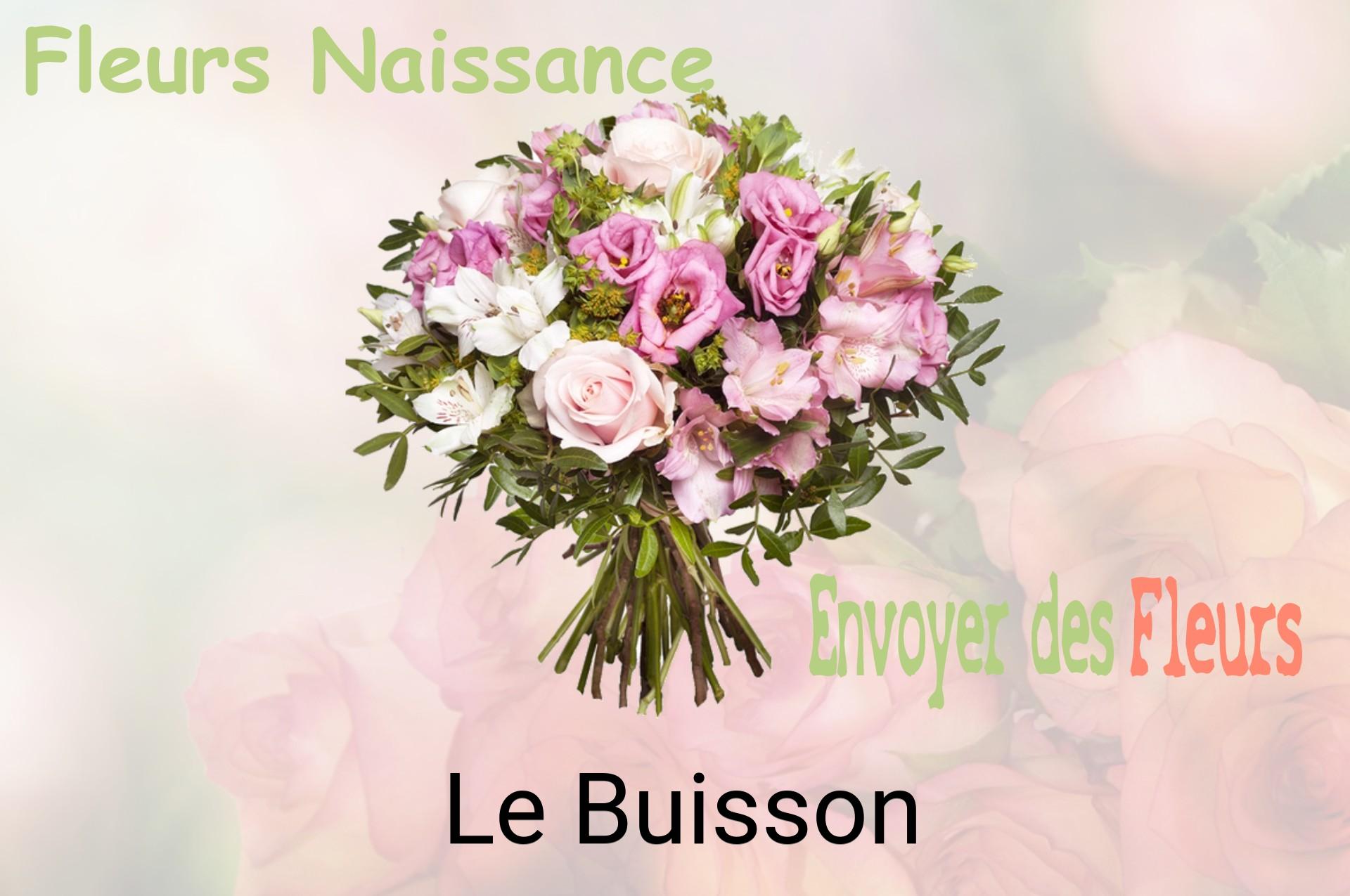 Bouquet de fleurs de naissance livré à Le Buisson