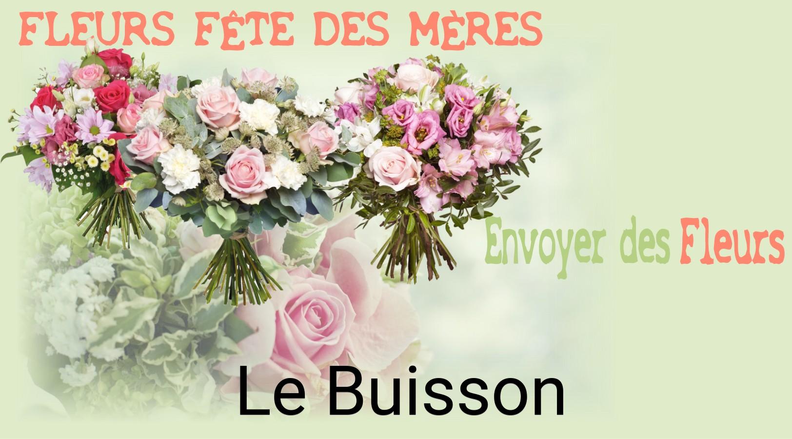 Bouquet de Fête des Mères livré à Le Buisson